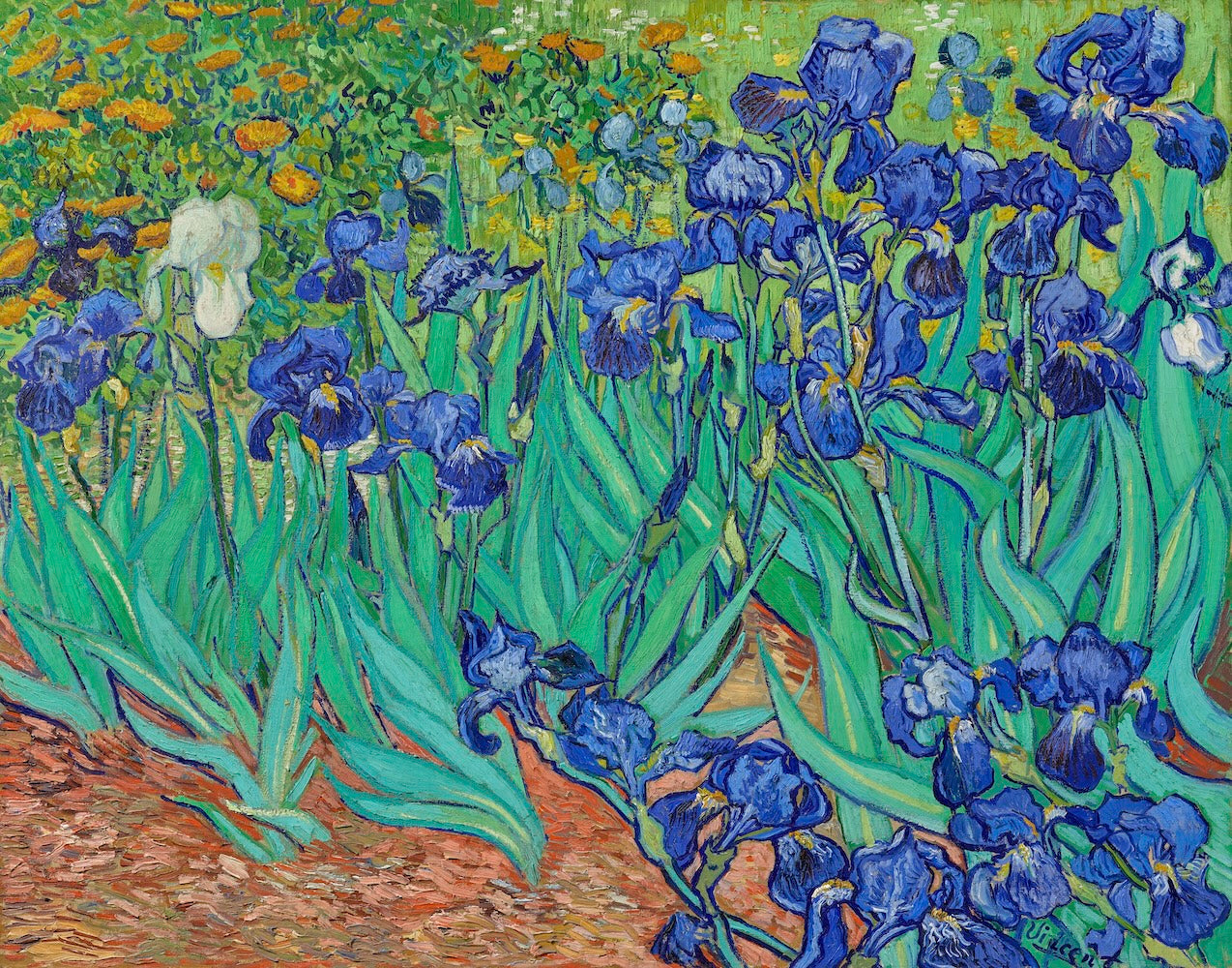 Irises by Vincent Van Gogh 1889