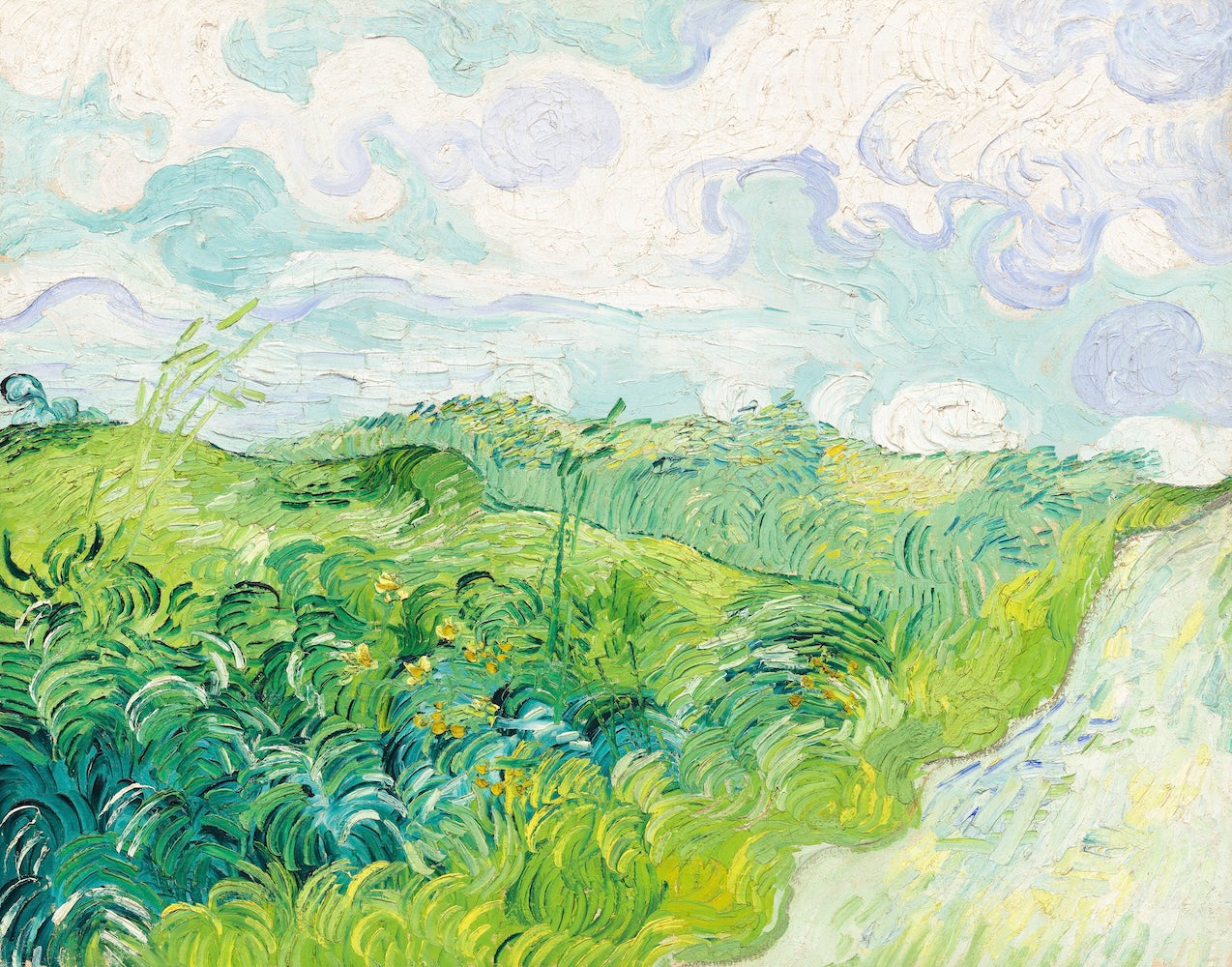 Green Wheat Fields, Auvers by Van Gogh