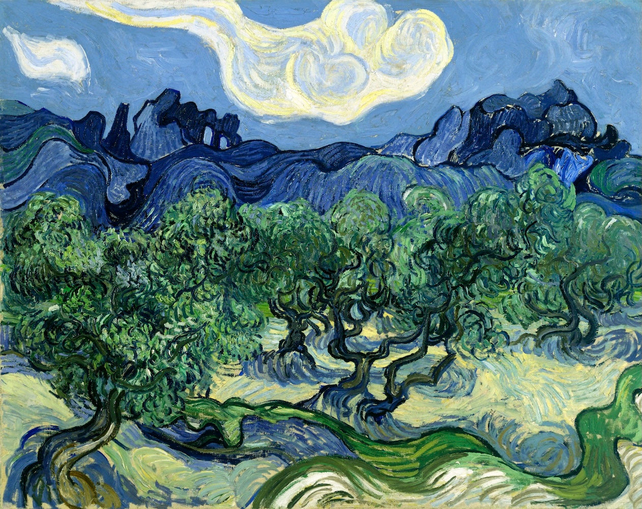 The Olive Trees by Vincent van Gogh